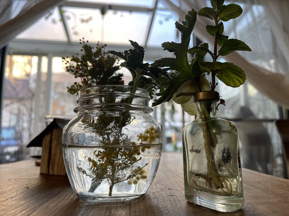 38B67620-8495-4265-B3F8-ECCE28D2FD86