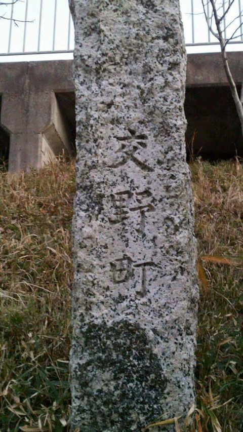 FB_IMG_1445381831447[1]