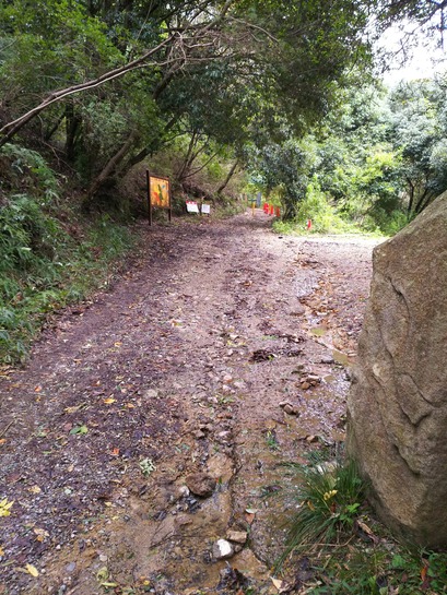 [画像:d8e3f99d-s.jpg]