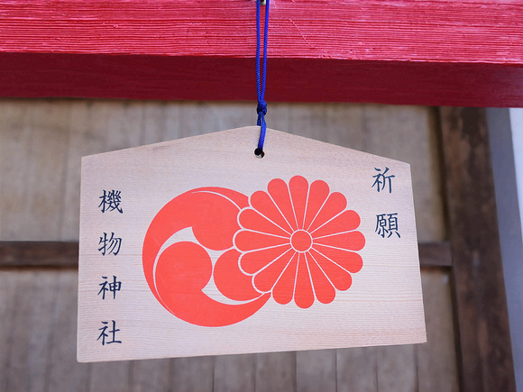 P1093780-1.png