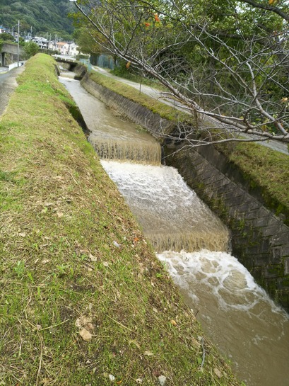 [画像:ddf0de0b-s.jpg]