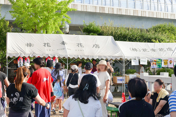 P1370949-1.png