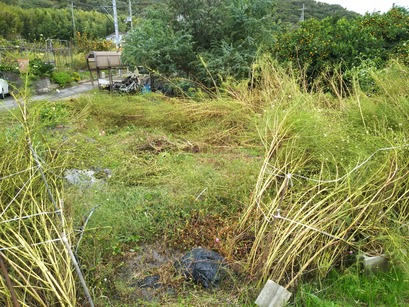 [画像:deb13b87-s.jpg]