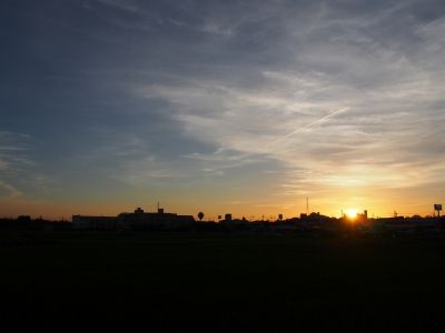 (1)P7250223