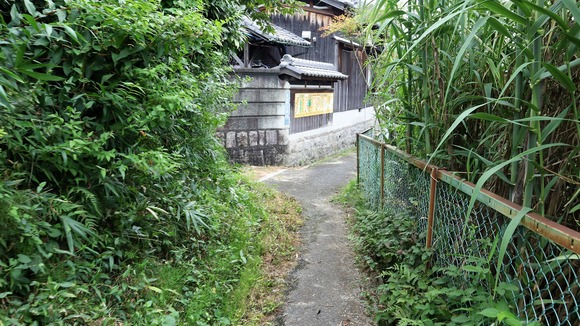 IMG_8102 (2)