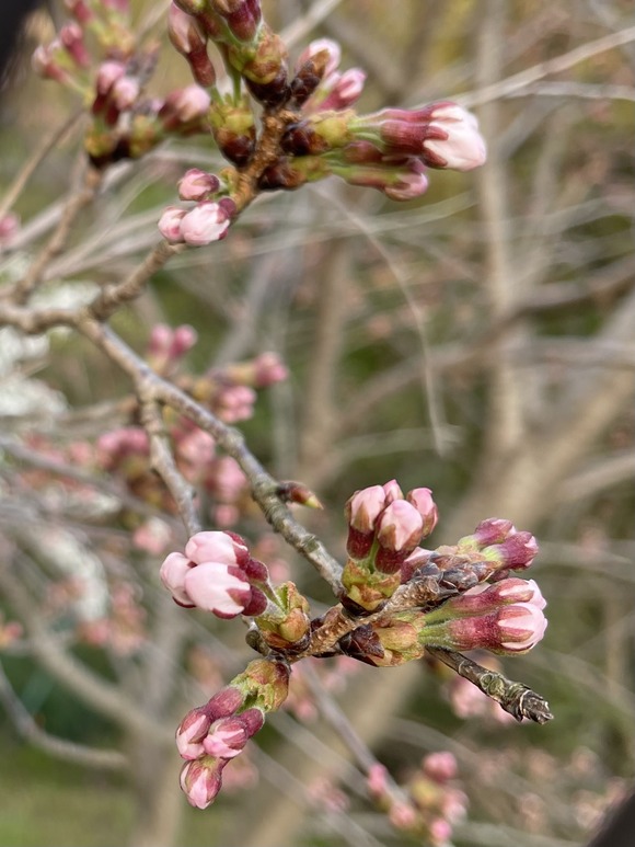 E3DB67D5-CA1A-4F23-85A1-9EAC1E751A7E