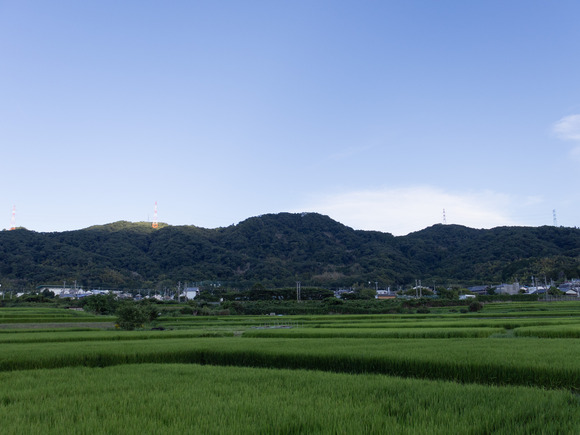 0S4A1445 (2023-08-29T12_13_25.938)