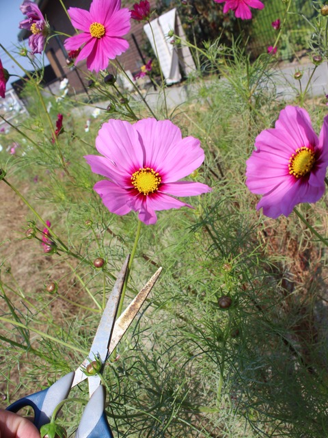 15-10-21-13-02-16-678_deco[1]