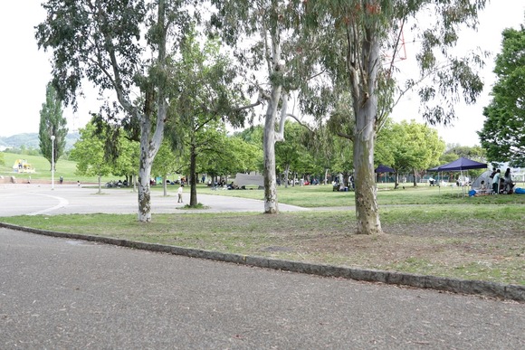 EOS 7D Mark II_0109（大）