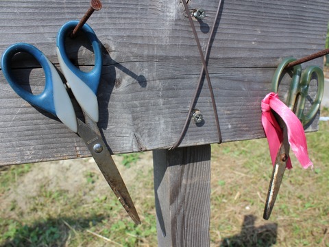 15-10-21-13-08-06-286_deco[1]