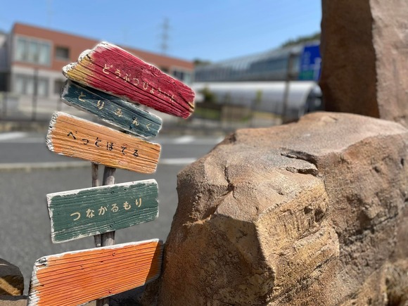 278449363_2560781527390546_7130825001212767463_n