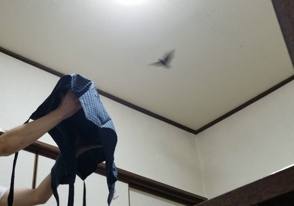 Screenshot_20210529-203719_Video Player