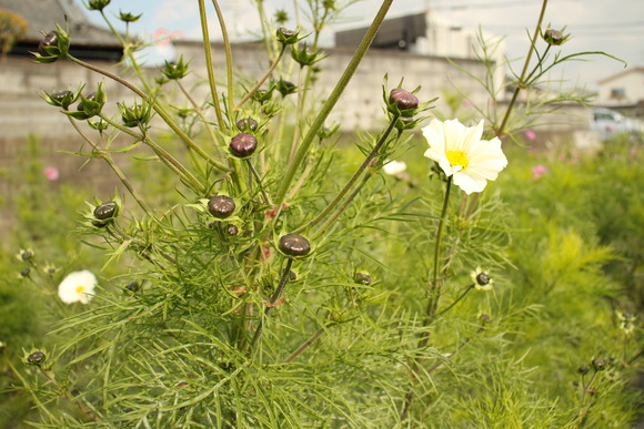 1M5A5741