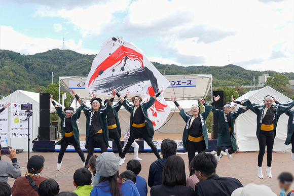 P1400317-1.png