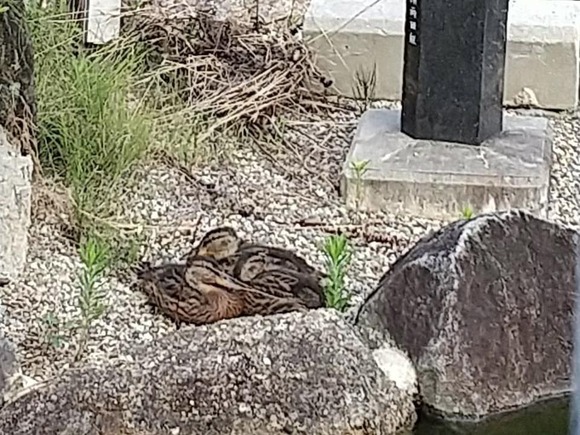 363324696_2968097069992321_1869470396870960079_n (1)