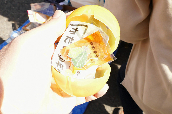 P1520739-1.png