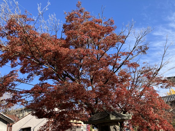 2024-12-05_14-06-48_539