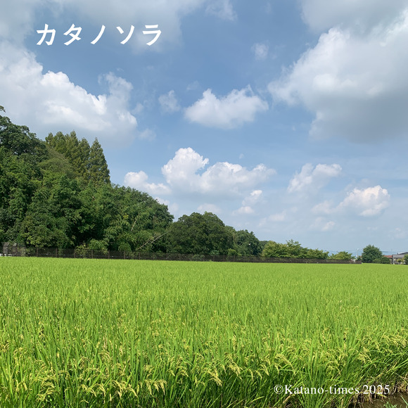 0_カタノソラフォーマット_アートボード 1