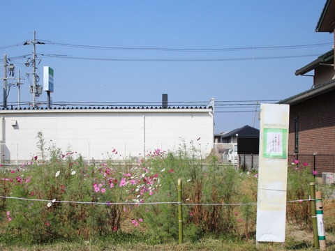 15-10-21-13-07-41-170_deco[1]