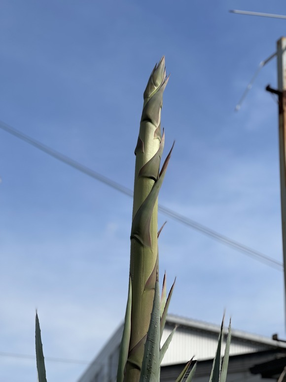 B8F6E67E-646A-4F8E-887D-5B1B710582DC