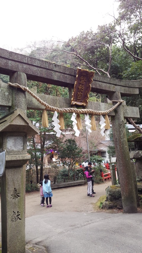 IMG_20160104_113934[1]