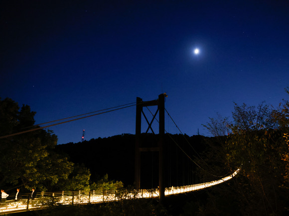 星のブランコイルミネーション