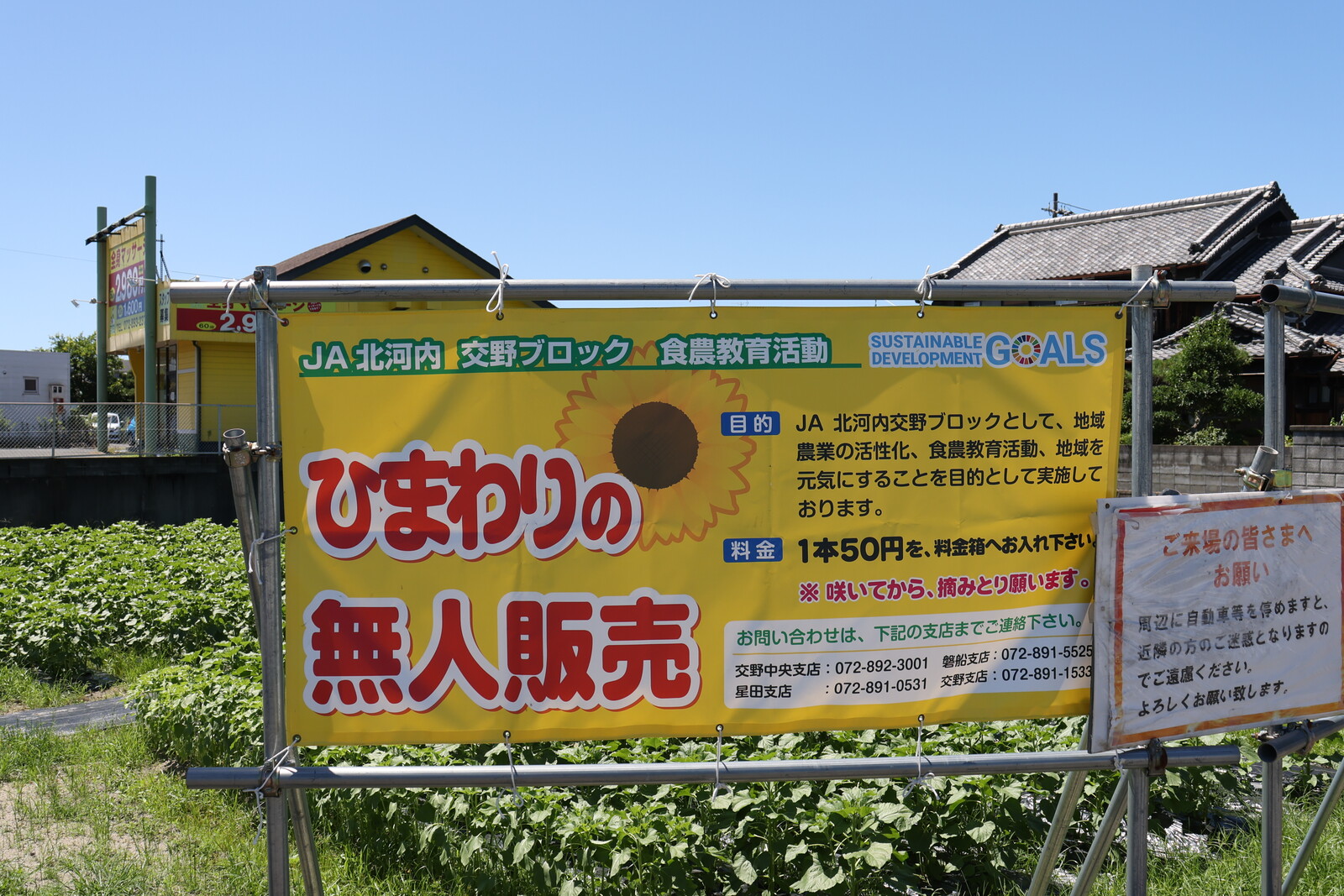ひまわり＆familys値下◎発送遅延有様 荒天による配送遅延等のお知らせ＞ 2月4日(火)より2月7日(金