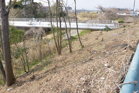 新天野川橋交差点 202403144