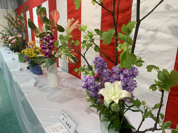 2025-04-13_10-24-31_580