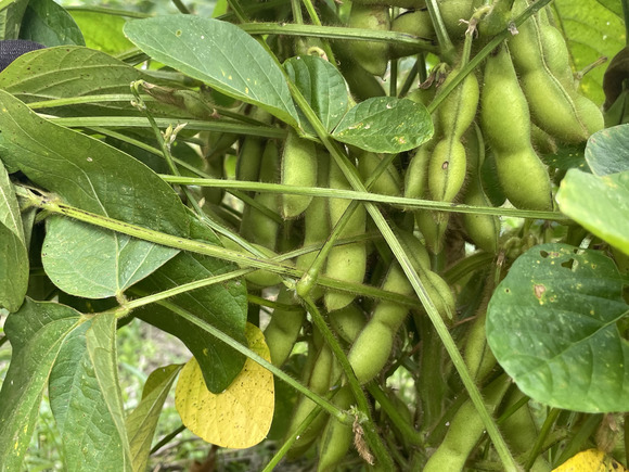 2021-10-06_13-17-46_423