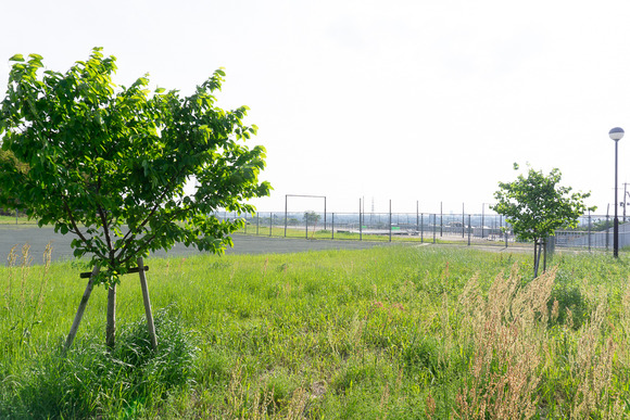 関西創価学園 寄宿舎 20250501-7