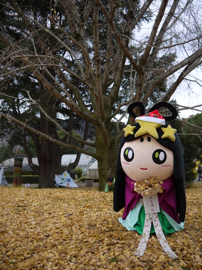 イチョウきれい!!