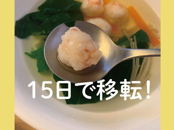 シュシュ1_アートボード 1