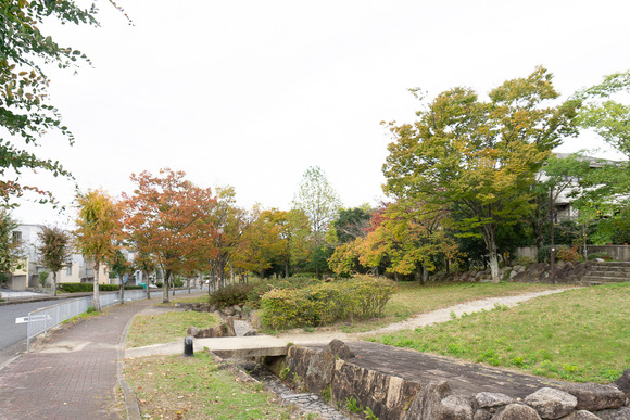 リニアパーク 紅葉 20241110-9