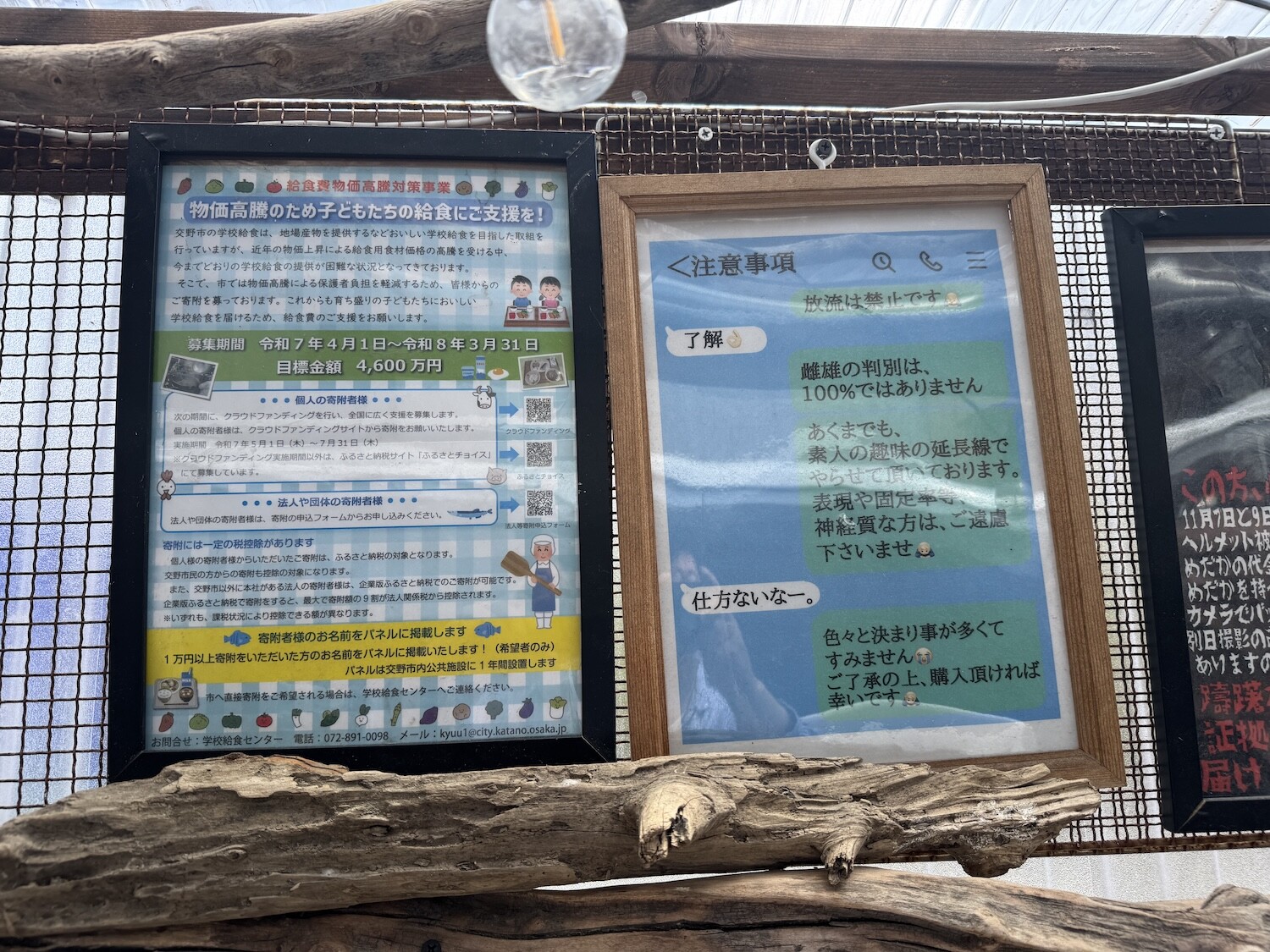 東倉治に「めだかの隠れ里」っていうメダカの無人販売所がある