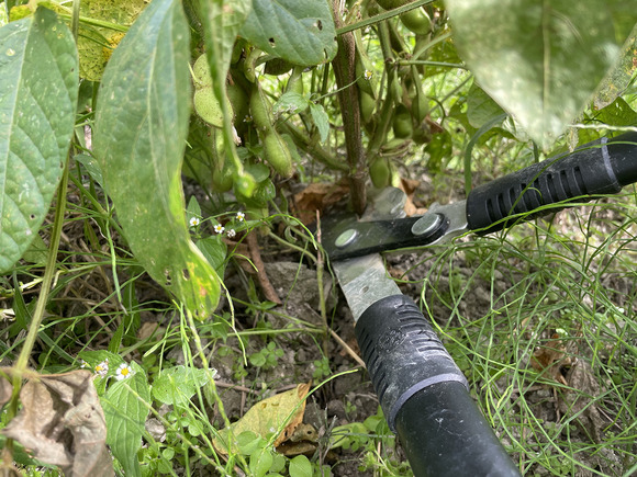 2021-10-06_13-24-08_444