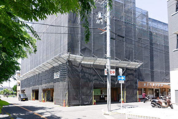 郡津駅前のツバメ 202405104