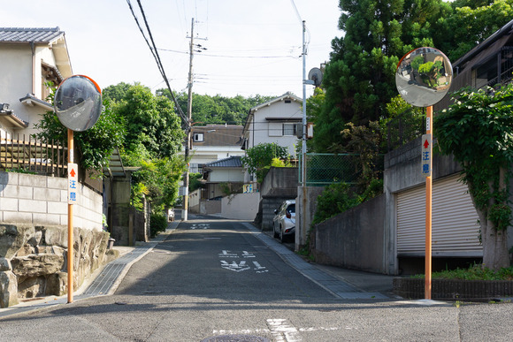 南星台 井戸 202406164