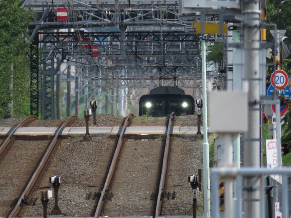 272441240_930609850948919_1606539531553980252_n