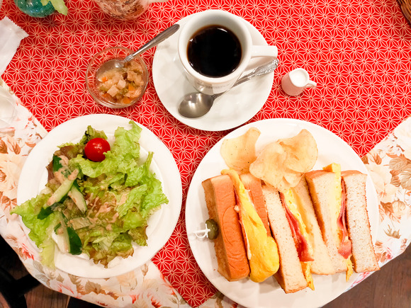 カモミール 2024053014-2