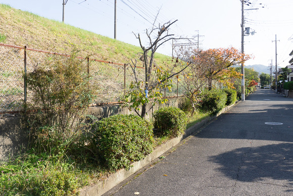 天野が原町の落とし物 20241122-3