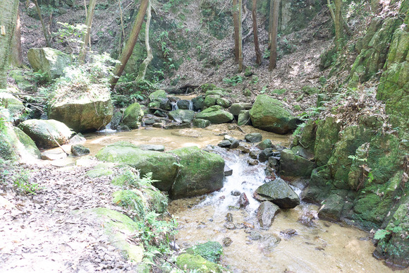 月の輪滝 20240719-32