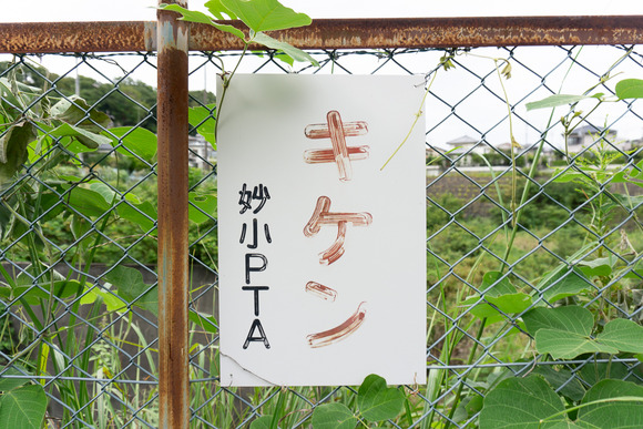 妙見東 20240927-1