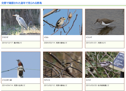 スクリーンショット 2019-05-09 23.37.31
