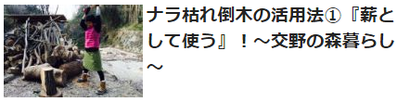 交野の森暮らし
