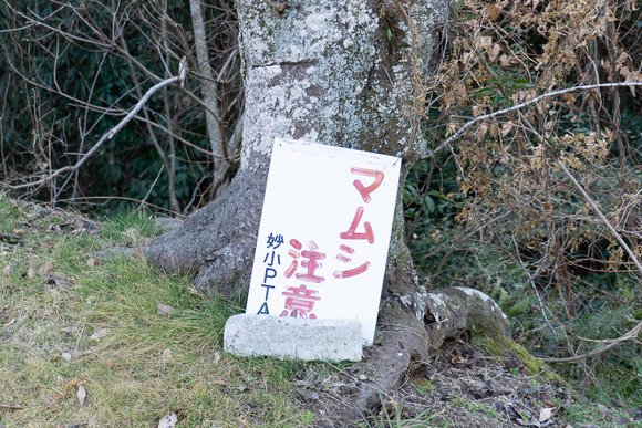 妙見東 マムシ注意 20250225-1