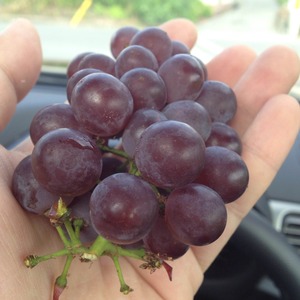 photo10