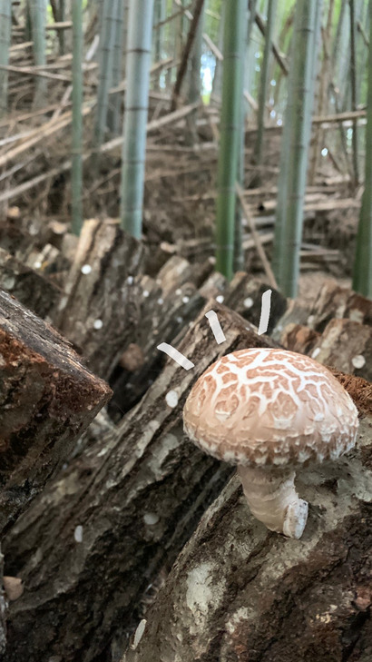 1D79DEB8-D5B2-416C-A5F4-3B88FD124C9B