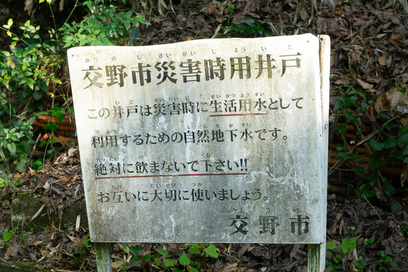 南星台 井戸 2024061612