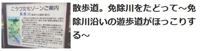 前回の免除川のようす